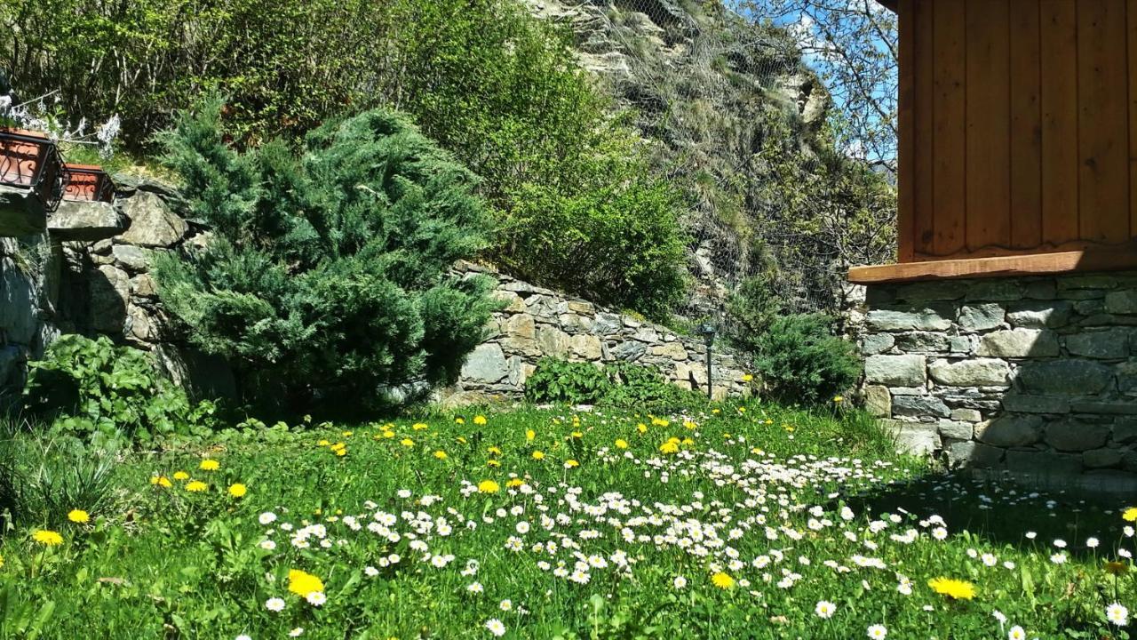 Il Rifugio Della Volpe Daire Introd Dış mekan fotoğraf